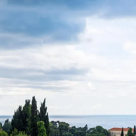 Miracle - Comfort With Terrace And View Apartment *