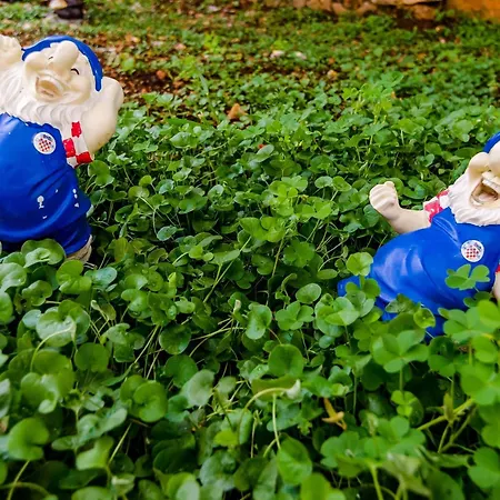 Miracle - Comfort With Terrace And View *