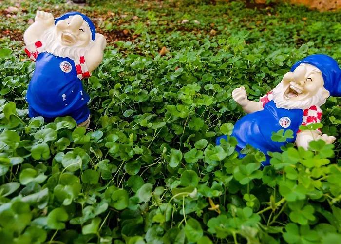 Miracle - Comfort With Terrace And View *